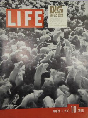 March 1, 1937