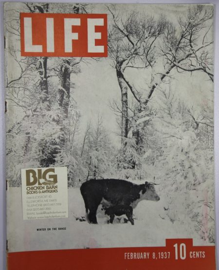 February 8, 1937