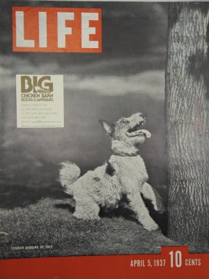 April 5, 1937