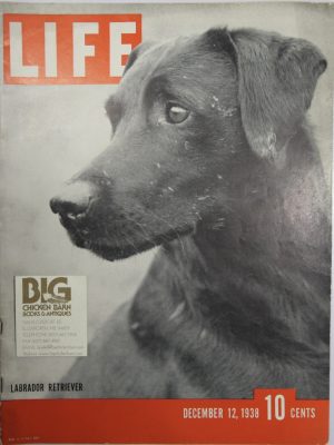 December 12, 1938