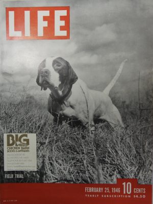February 25, 1946