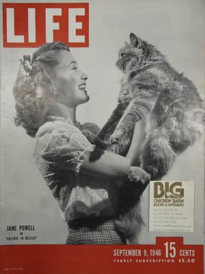 September 9, 1946