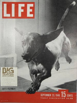 September 23, 1946