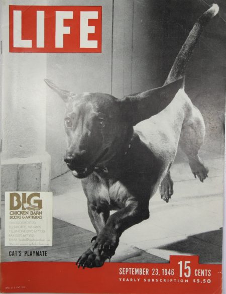 September 23, 1946
