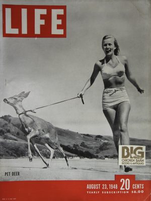 August 23, 1948