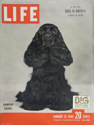 January 31, 1949