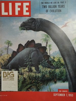 September 7, 1953