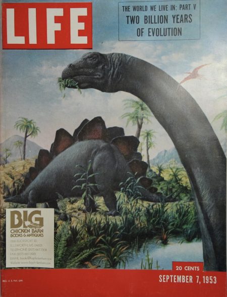 September 7, 1953