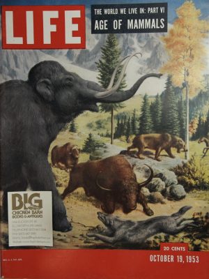 October 19, 1953