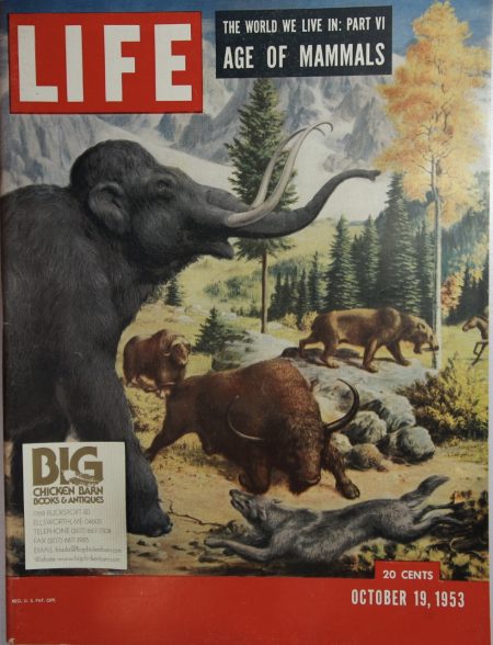 October 19, 1953