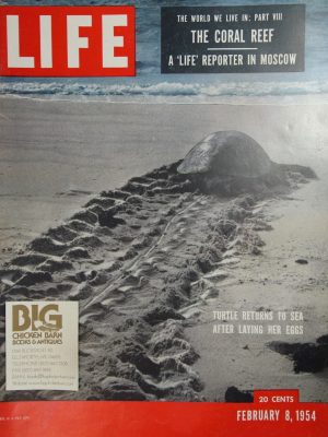 February 8, 1954