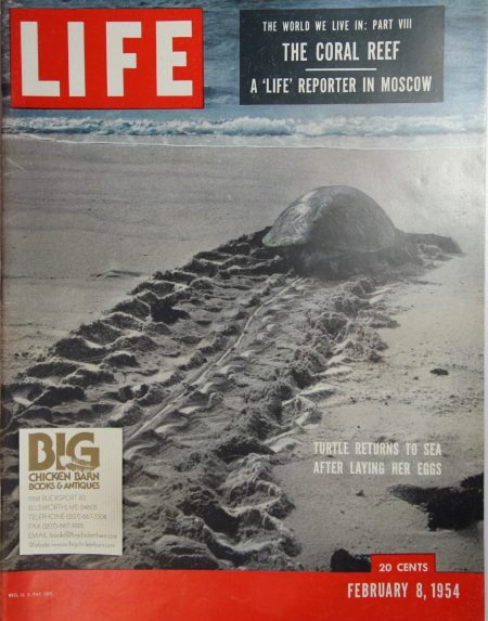 February 8, 1954