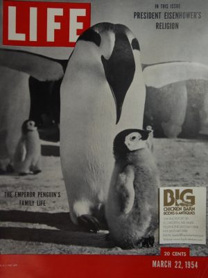 March 22, 1954