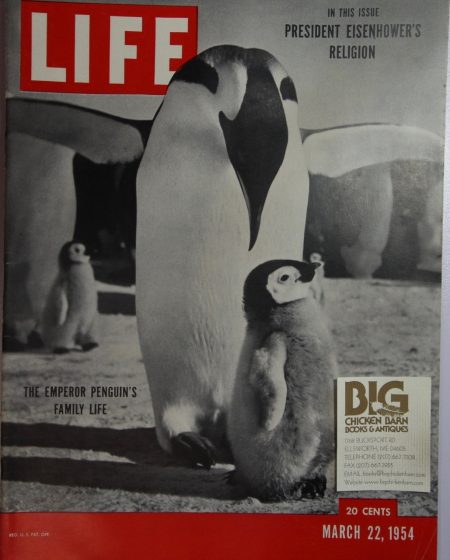 March 22, 1954