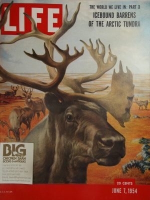 June 7, 1954