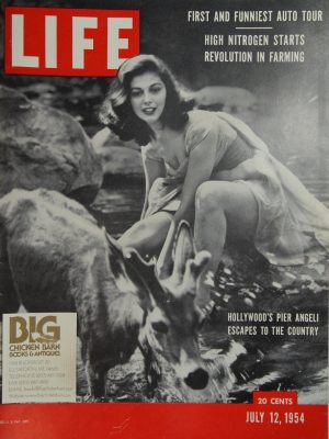 July 12, 1954