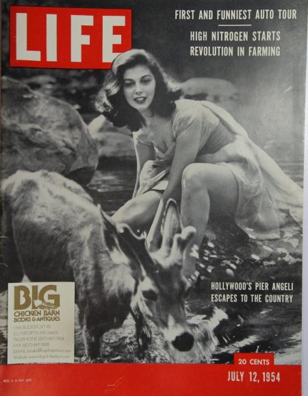 July 12, 1954