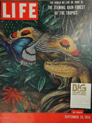 September 20, 1954