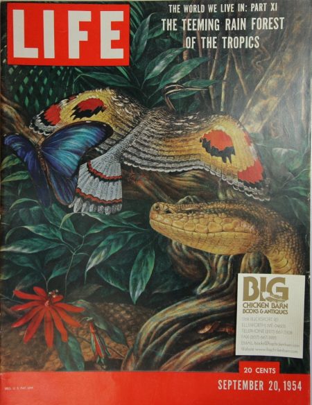 September 20, 1954