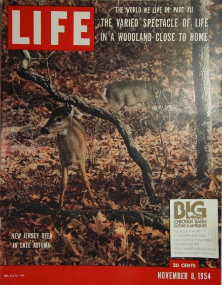 November 8, 1954