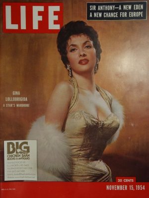 November 15, 1954